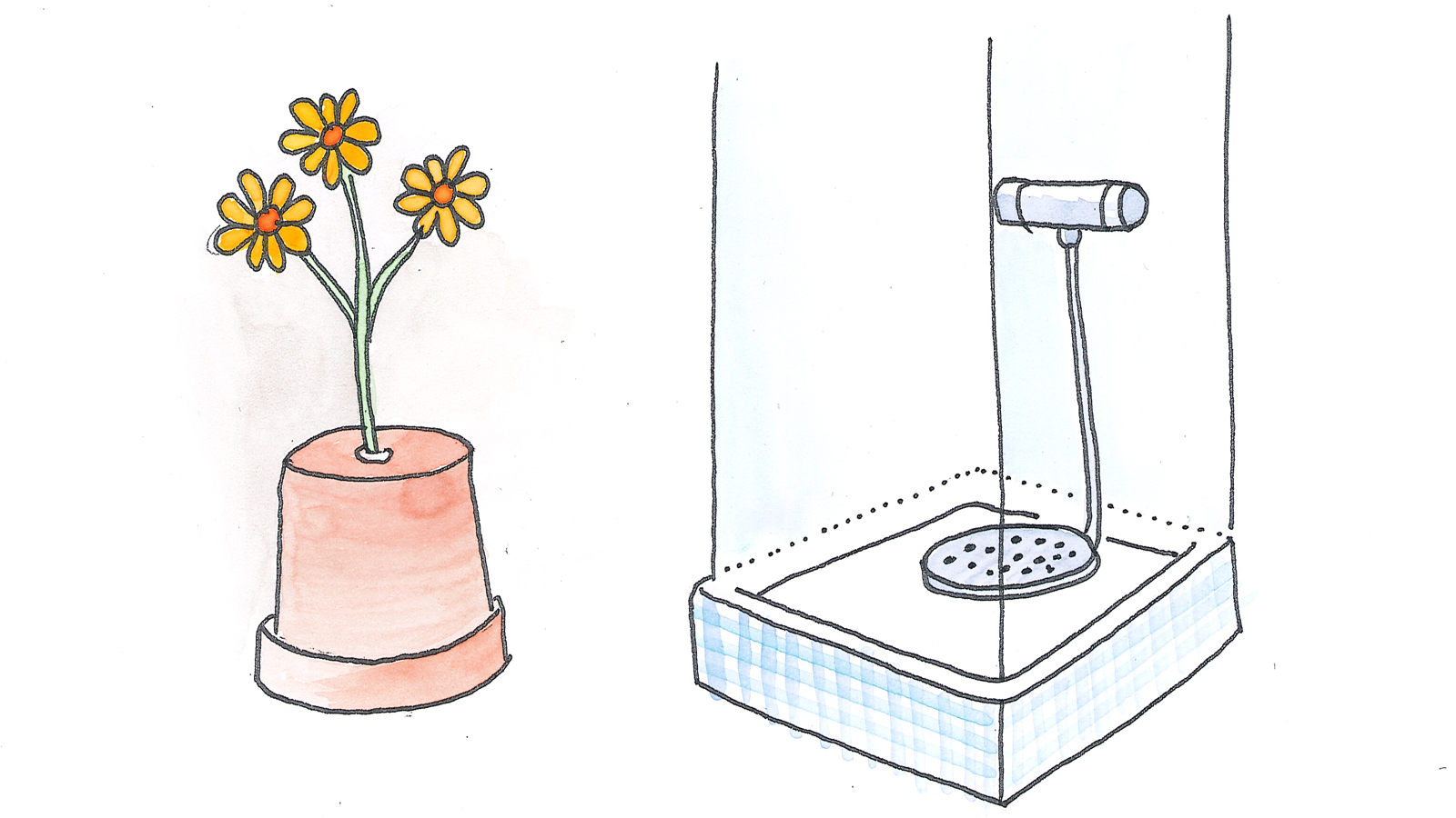 Blumengießen und Duschen von unten: Wenn Wasser leichter als Luft wäre.